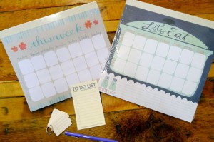 get organized in 2013 with Kid Icarus