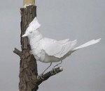 Garrison Creek Bat Co: Season Opener