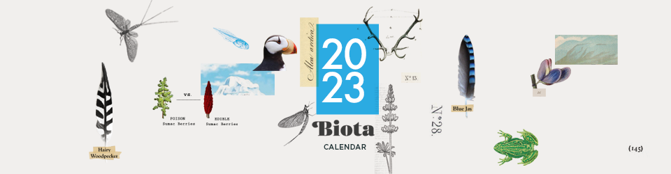 Biota Calendar 2023 screen printed by Kid Icarus in Toronto