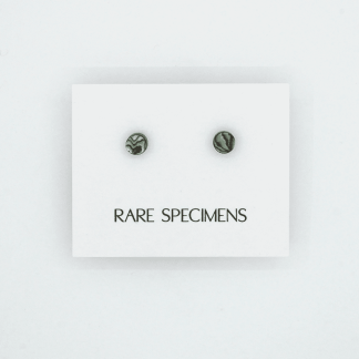 Rare Specimens - EARRINGS - Abalone
