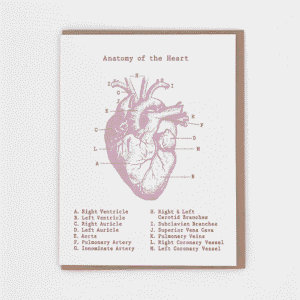 Kid Icarus - LOVE - Anatomy of the Heart